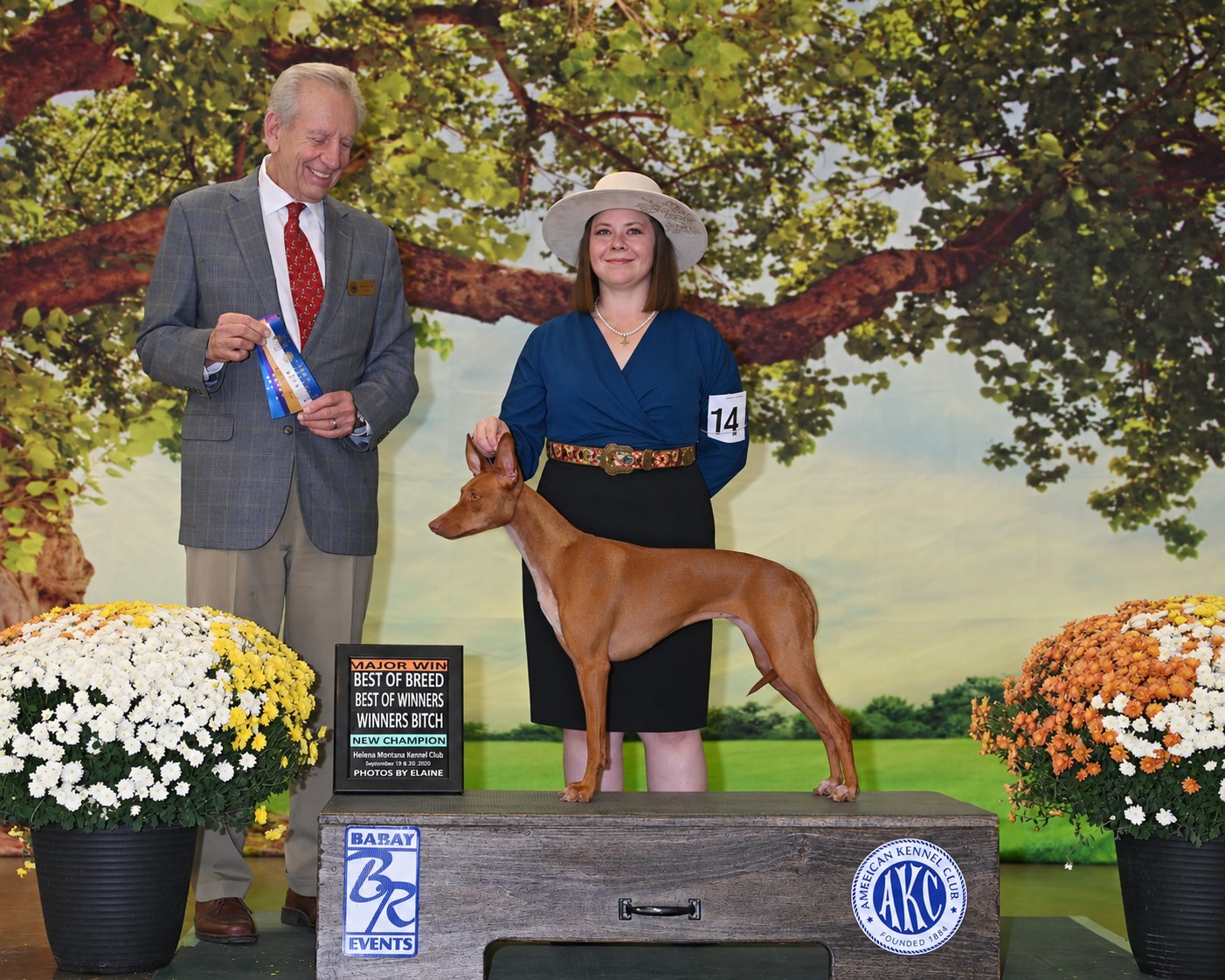 CH WhiteCliff’s First Star of Ancient Wisdom — Best of Breed, Best of Winners and Winners Bitch, finishing her championship at the Helena Montana Kennel Club